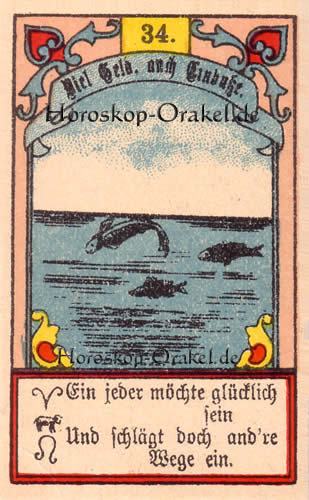 Tageskarte morgen die Fische