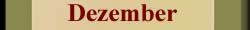 Wassermann Singlehoroskop Dezember