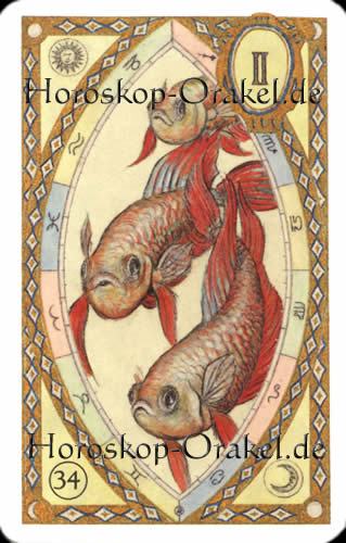 Die Fische, Wassermann Monatshoroskop