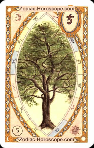Astrologische Lenormandkarten der Baum