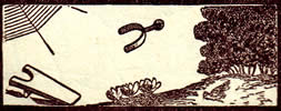Wassermann Tageskarte